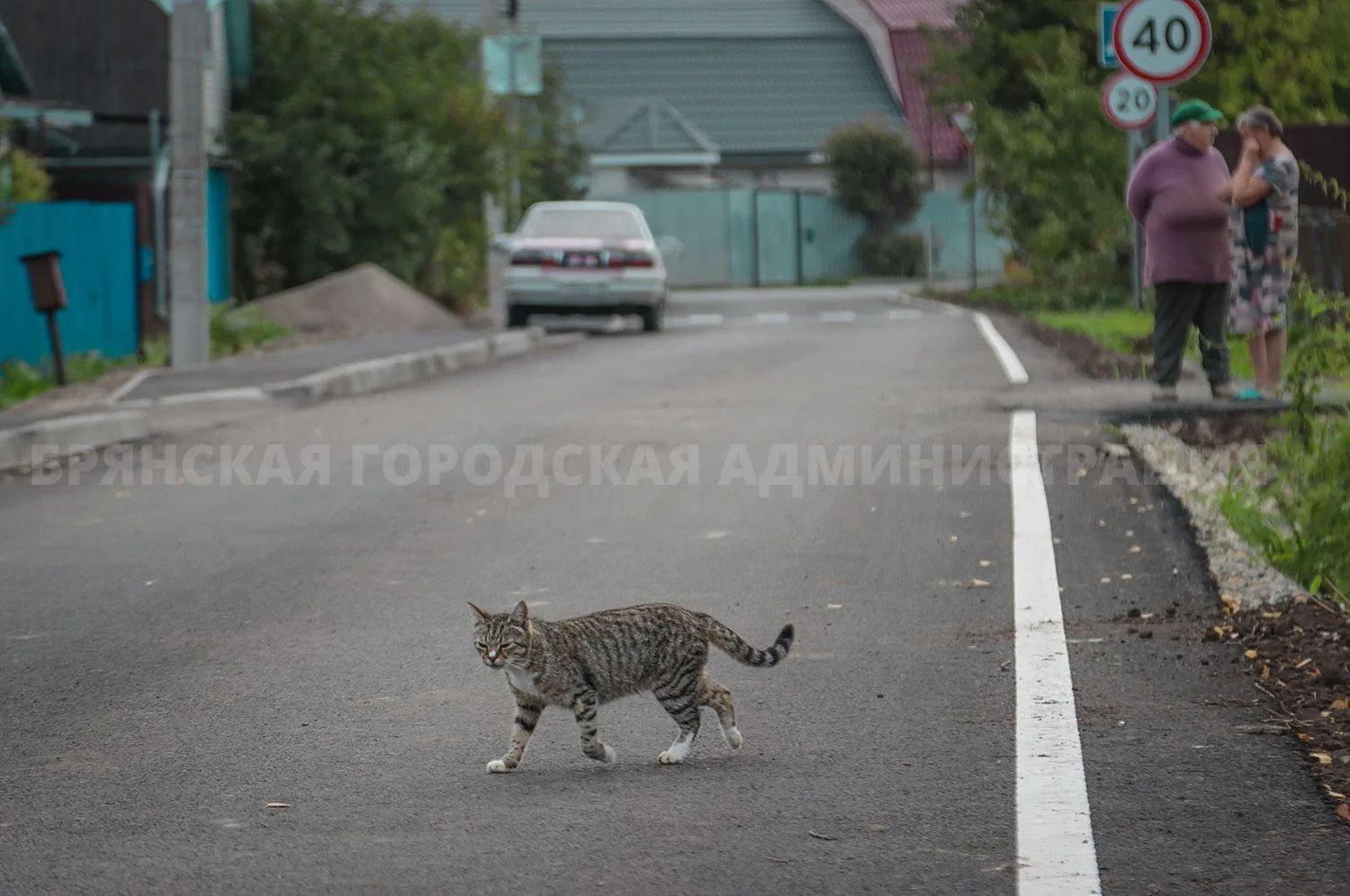 В Бежице завершили укладку асфальта на переулке Северный