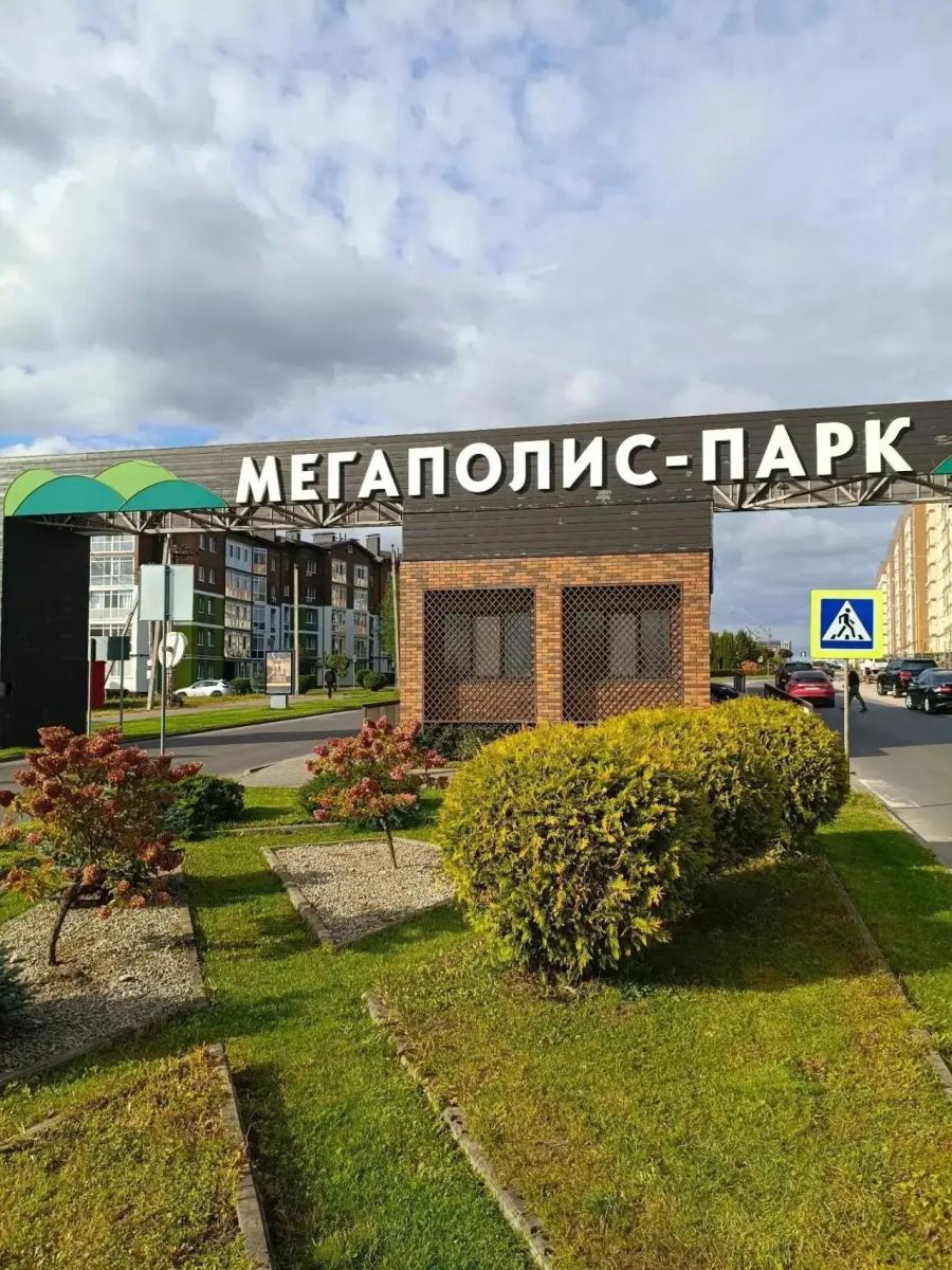 Егор Ковальчук поделился впечатлениями от «Мегаполис-Парка»