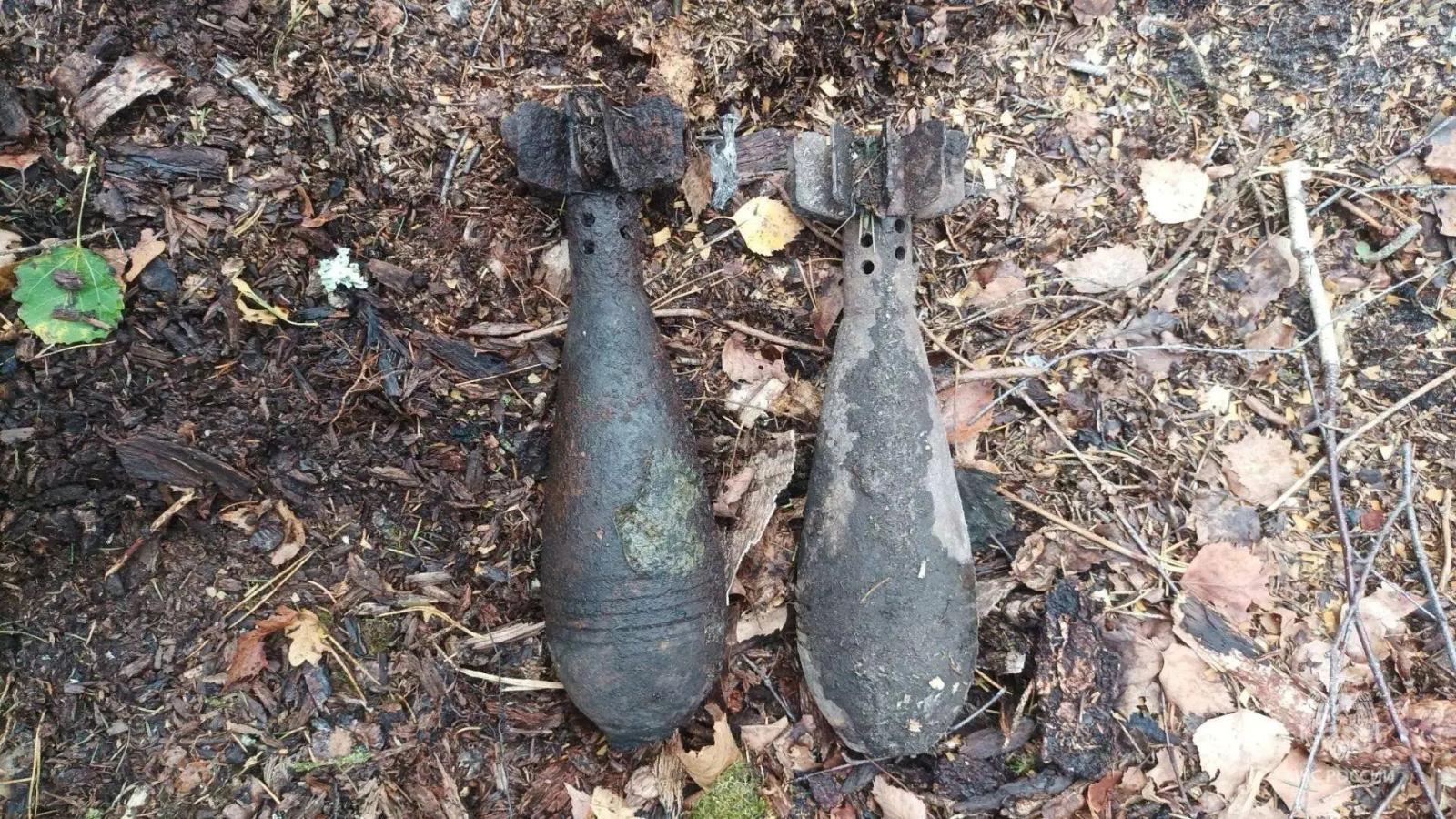 В Дятьковском районе были найдены и нейтрализованы боеприпасы времён Великой Отечественной войны