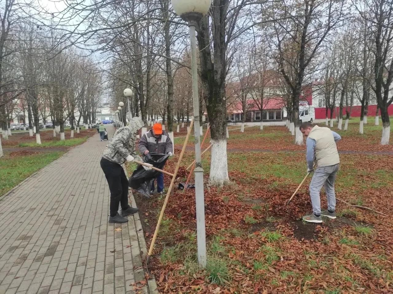 Брянцы помогли дорожникам навести порядок в родном городе
