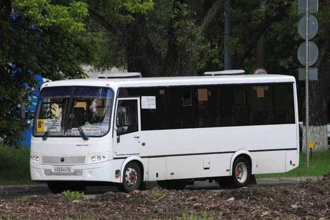 Жителям Большого Полпино добавили два автобусных рейса