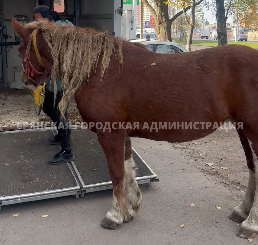Брянская областная Дума на своём заседании утвердила ряд значимых решений