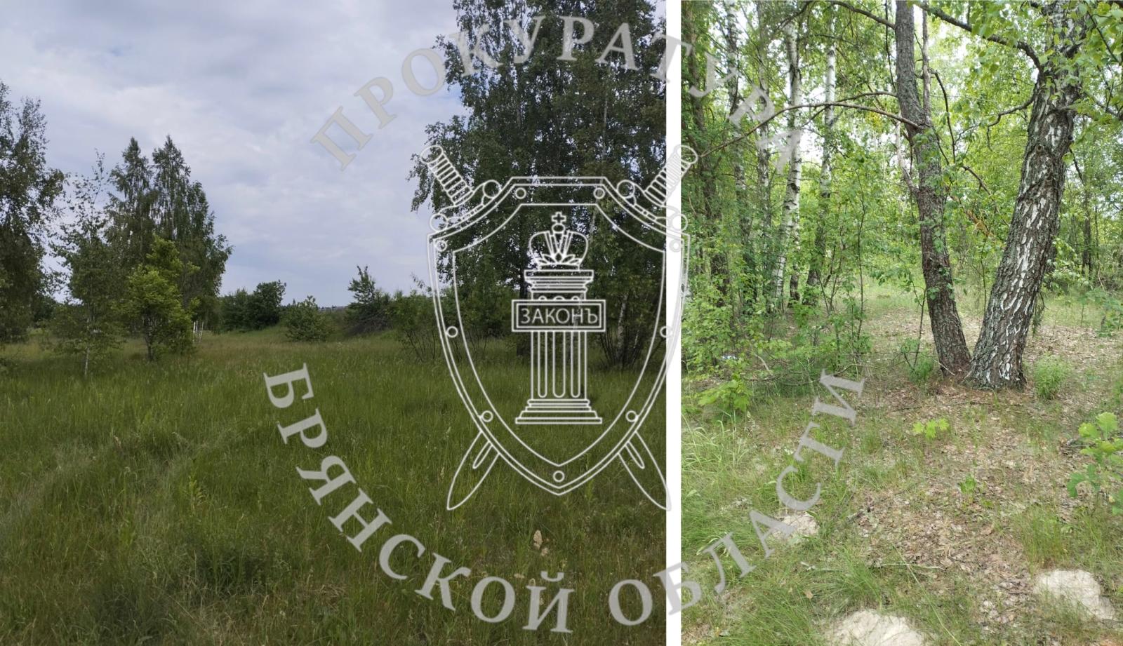 В Новозыбкове разгорелся скандал из-за земельных участков для многодетных семей