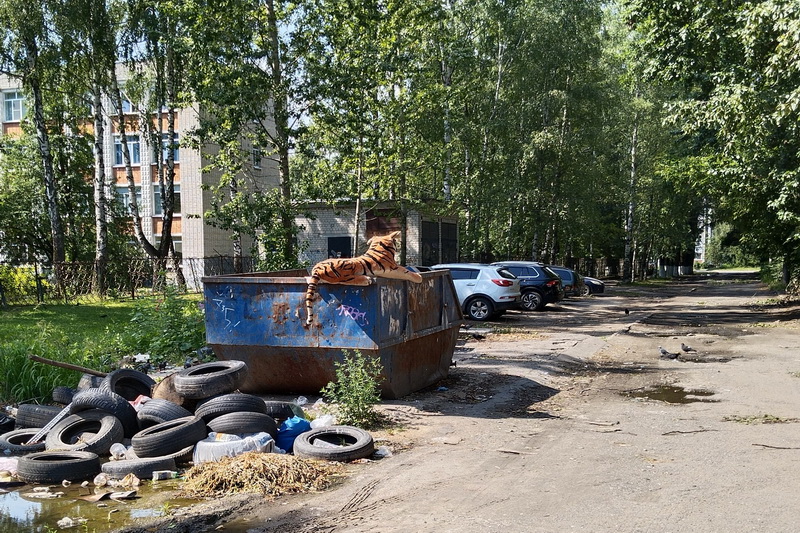 В Брянске на мусорке жители  обнаружили игрушечного тигра