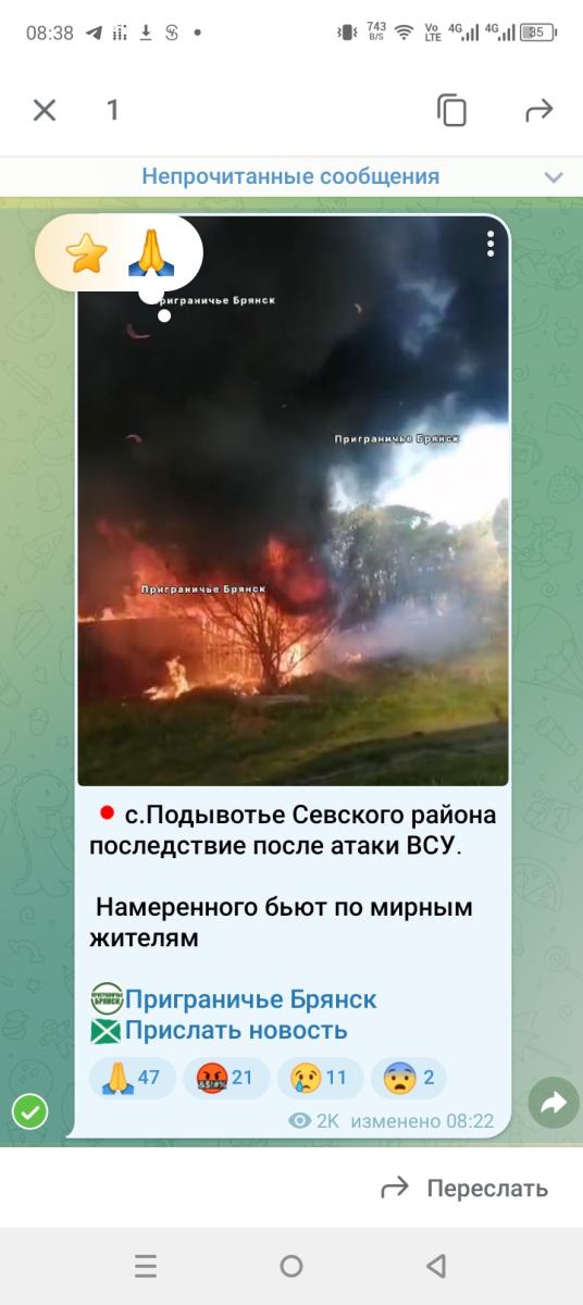 Брянцев привели в ужас последствия вражеского налёта на родину Большунова