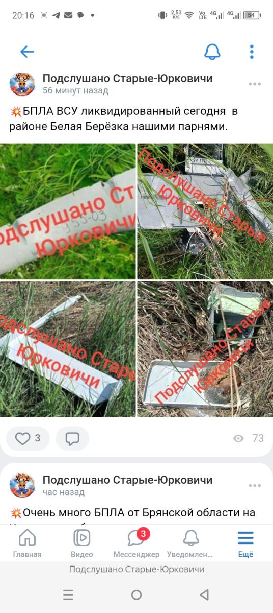 Над брянской Белой Берёзкой 6 июля уничтожен дрон неприятеля