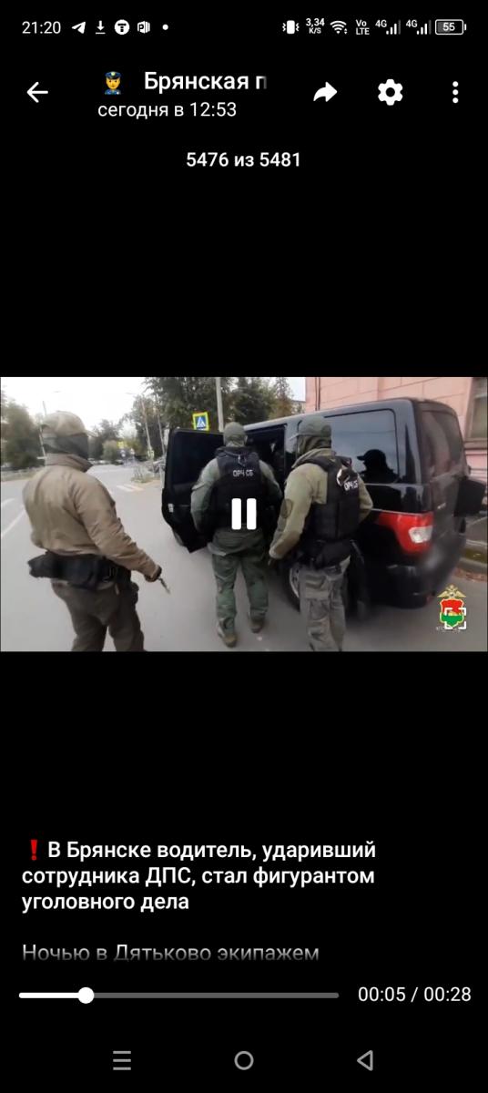 Против брянского шофёра возбудили уголовное дело за агрессию против автоинспектора