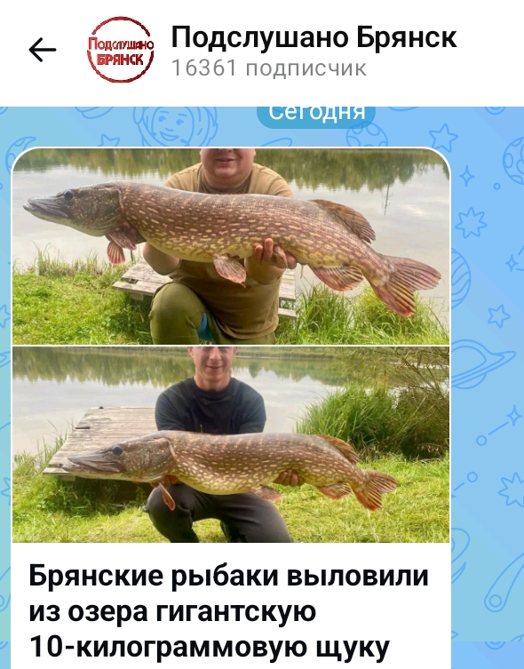 На Брянщине рыбаки поймали огромную щуку в октябре 2025 года