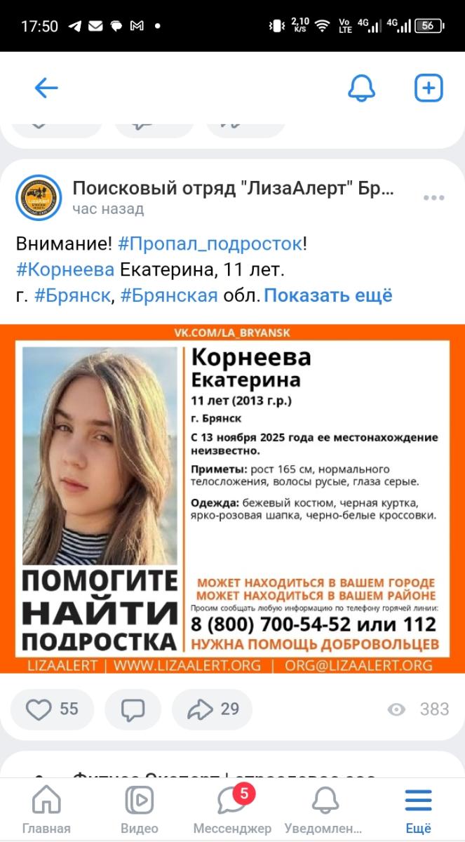 Столица Брянщины ищет свою юную жительницу Екатерину Корнееву