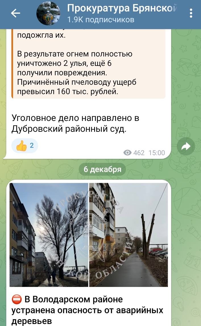 В Володарском районе Брянщины провели обрезку аварийных деревьев