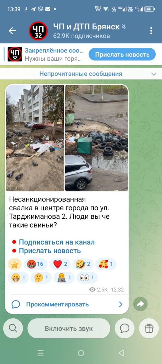 В Советском районе Брянска появилась очередная незаконная мусорная свалка