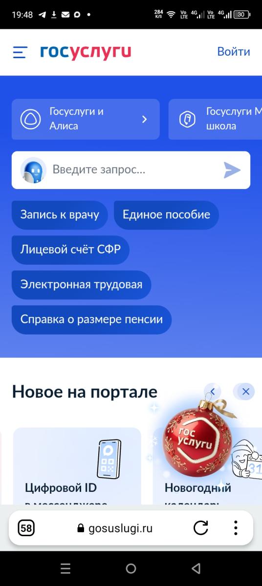 Верховный суд России разрешил брянцам не пользоваться порталом «Госуслуги»