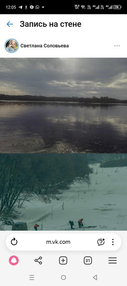 Петербургская женщина-волонтёр окончила 79-суточные поиски маленького брянца Вани