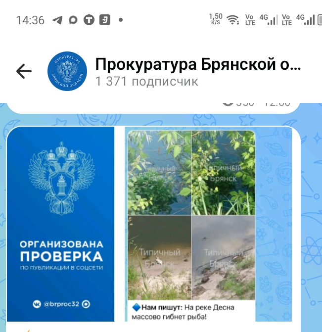 Прокуратура заинтересовалась информацией о гибели рыбы в Десне