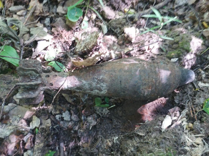 В Севском районе обнаружен боеприпас времен Великой Отечественной войны