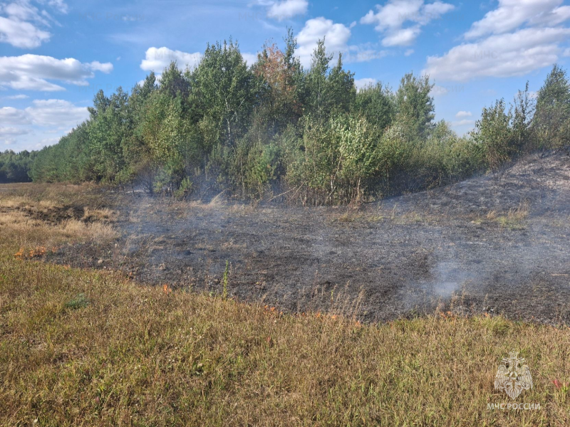 В Клетнянском районе огнеборцы остановили лесной пожар