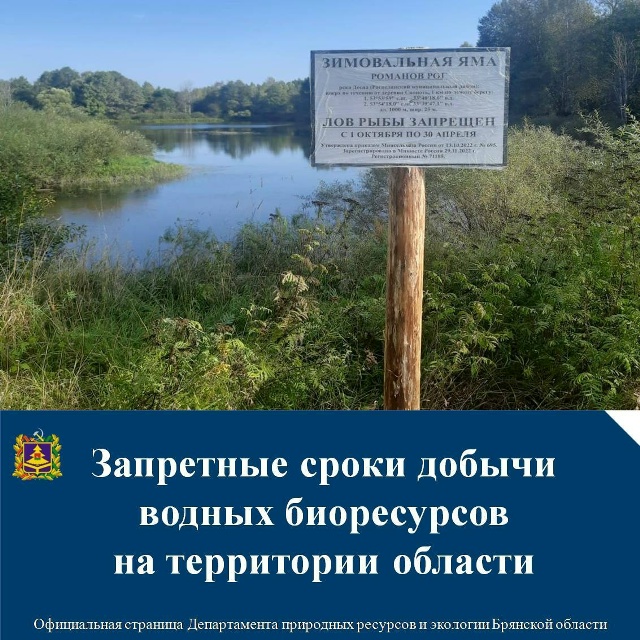 В Брянской области с наступлением холодов вводятся сезонные ограничения на добычу рыбы и раков