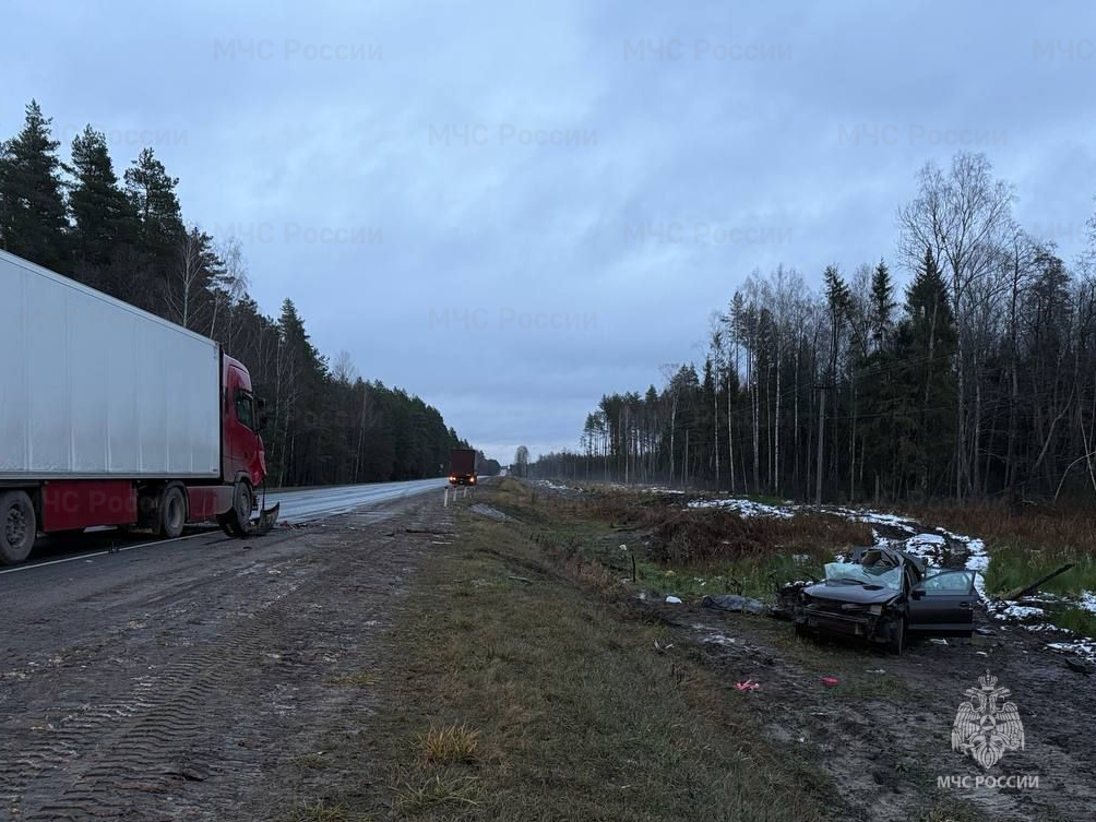 Под Брянском деблокировали пострадавшего в страшном ДТП