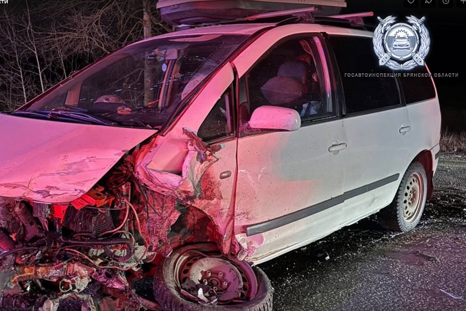 Смертельное ДТП. Брянцам показали жуткие кадры с места гибели автомобилиста