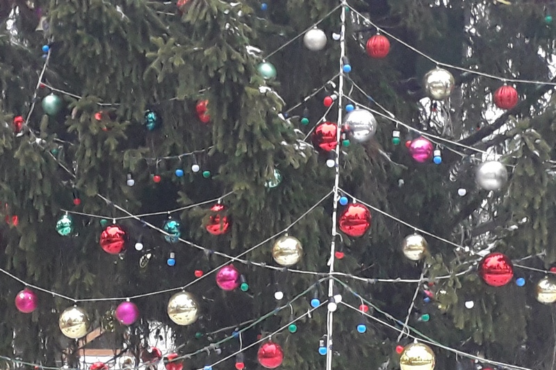 «Елка желаний». Министр просвещения исполнит желание мальчика из Брянска