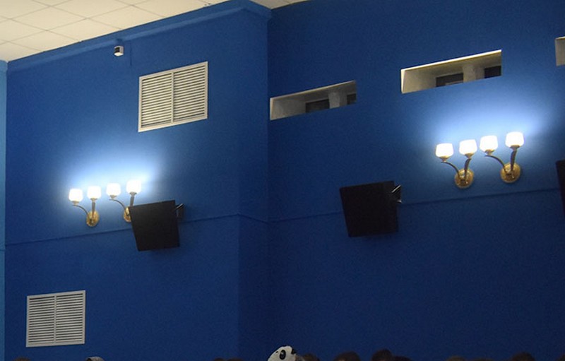 «Город птиц». Фильм брянца Алексея Жучкова покоряет Москву