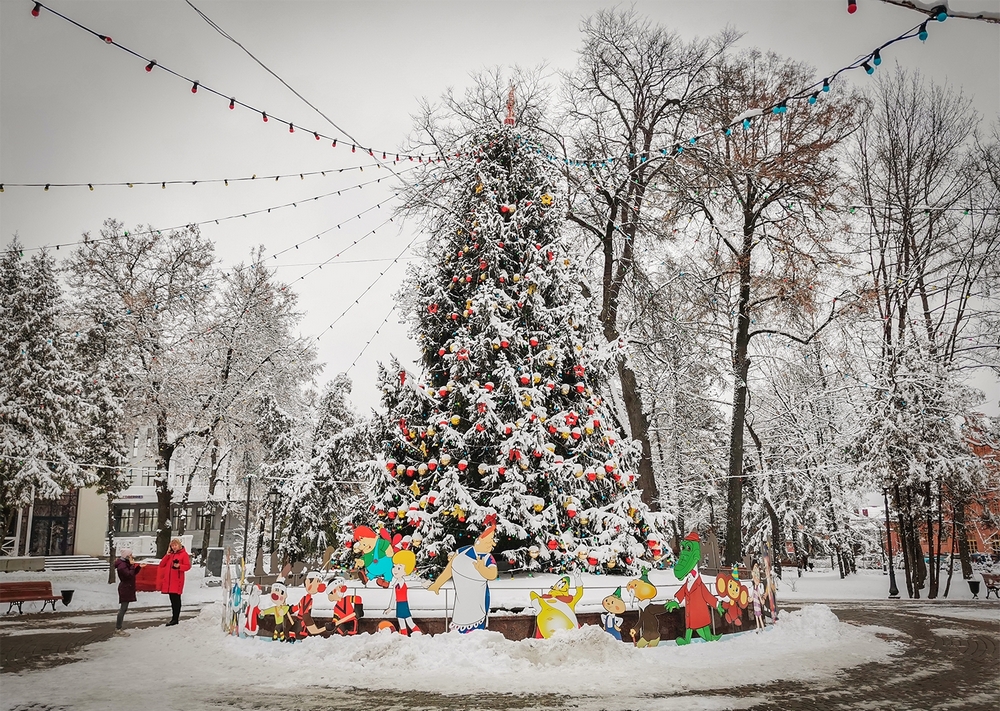 Брянцам рассказали о погоде на 1 января
