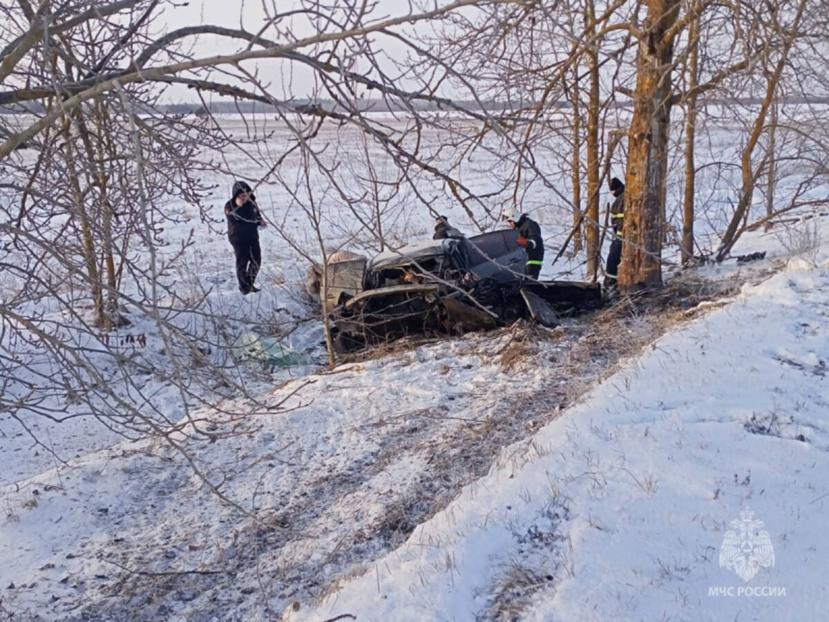 Под Навлей спасатели деблокировали пострадавшего в ДТП человека