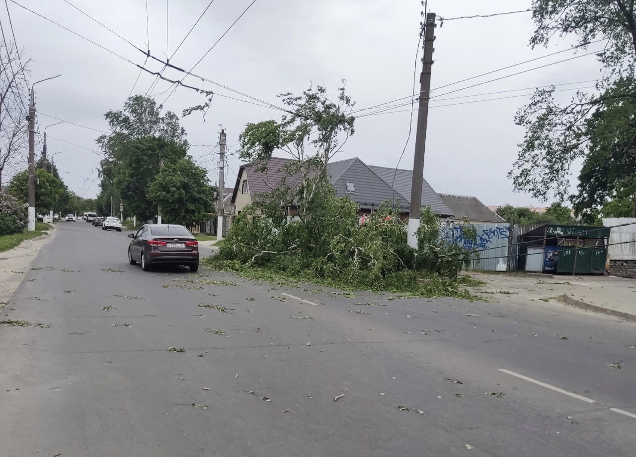 В Брянске ураганный ветер повалил деревья