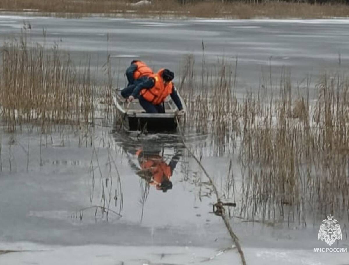 В одном из брянских водоемов утонул 62-летний мужчина