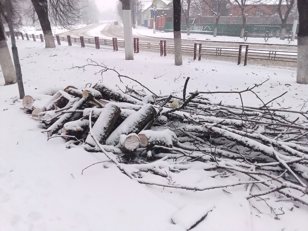 Рухнувшее дерево возле «Лесных сараев» убрали после публикации NASHBRYANSK.RU