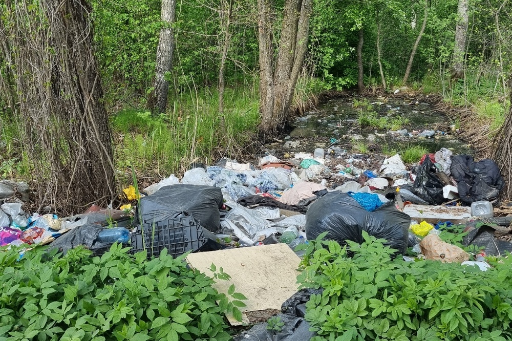 В брянской Глаженке образовалась зловонная свалка