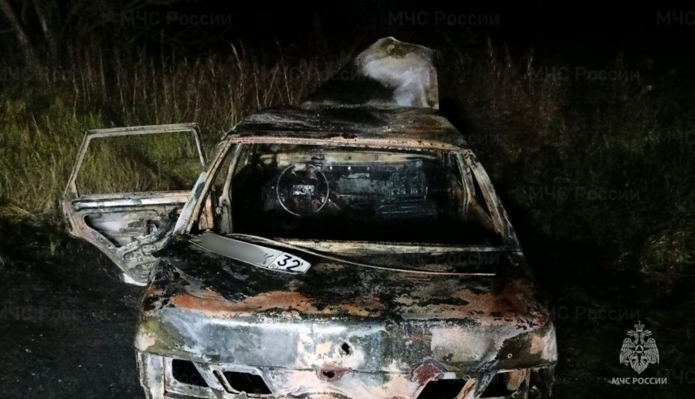 Огонь уничтожил легковушку в Новозыбкове