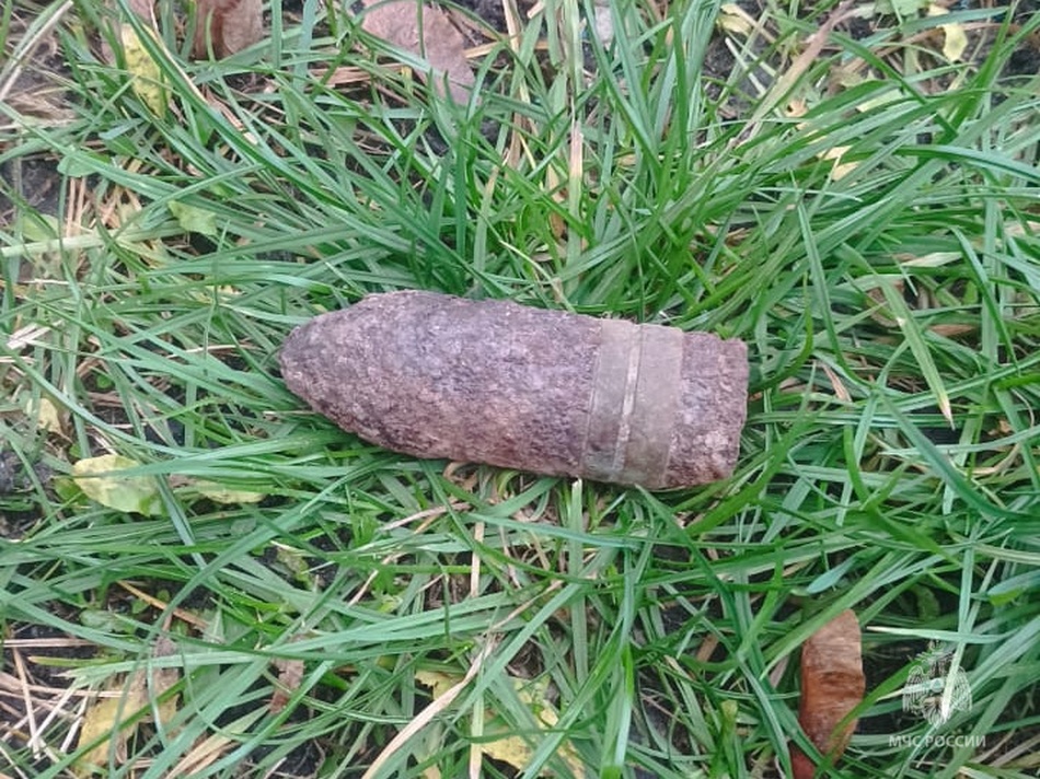 В последний день осени саперы предотвратили мощный взрыв под Брянском