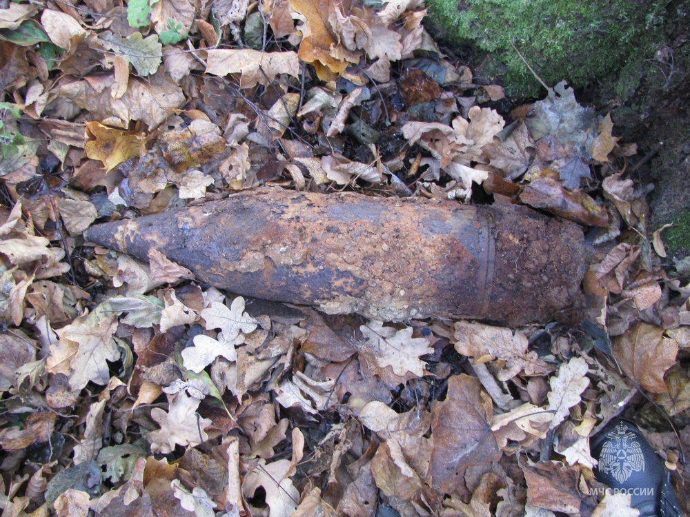 Саперы предотвратили мощный взрыв в Фокинском районе Брянска