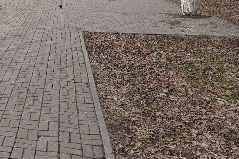 Брянский парк «Олимпийский» преобразится в следующем году