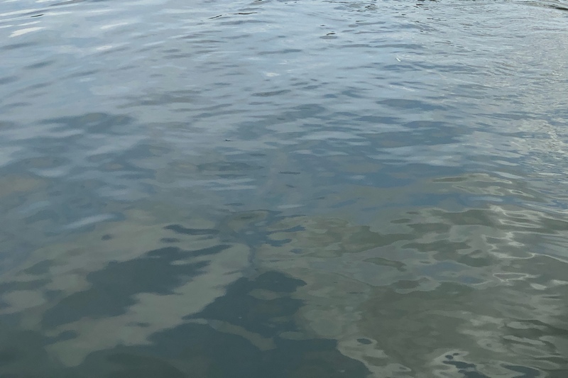 Без улова и без денег. Брянского рыбака-хитреца наказали рублем