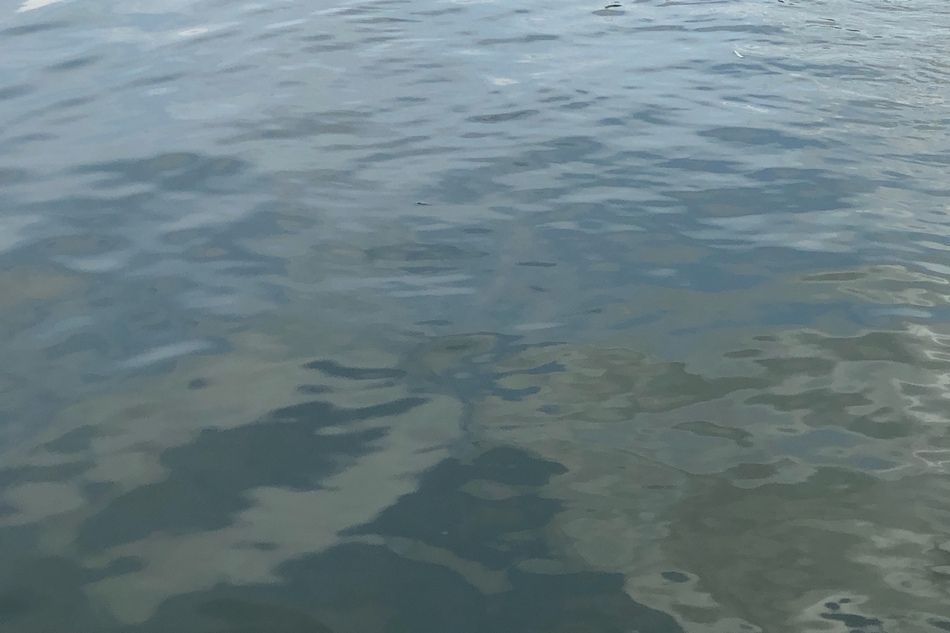 Житель Бытоши перекрыл землякам доступ к водоему