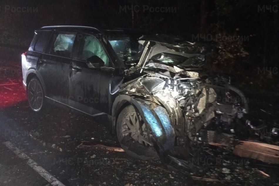На месте массовой аварии под Брянском работали спасатели