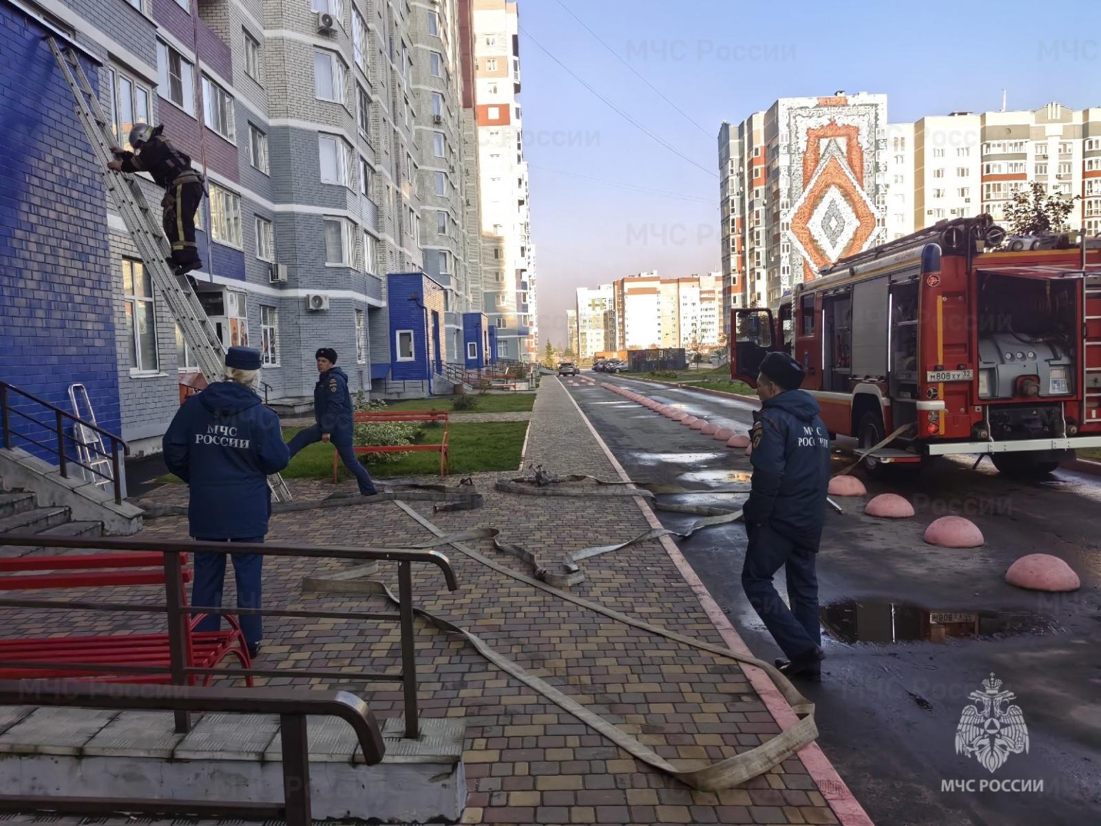 Эвакуировано два человека. На территории Старого аэропорта в Брянске случился пожар