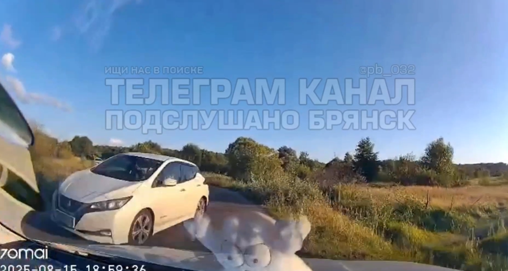 В Сельцо лихач едва не погубил попутку при заезде в поворот