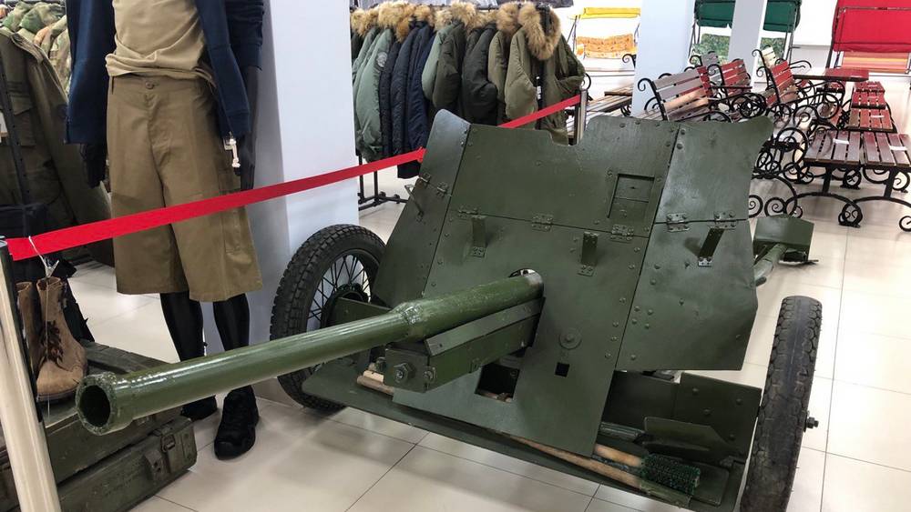 В строительном магазине Брянска появилась пушка