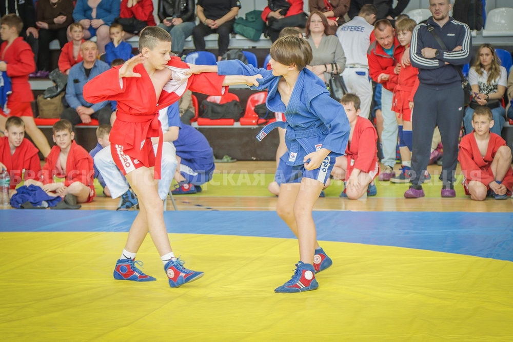 В Брянске возродили турнир по самбо имени Медведева