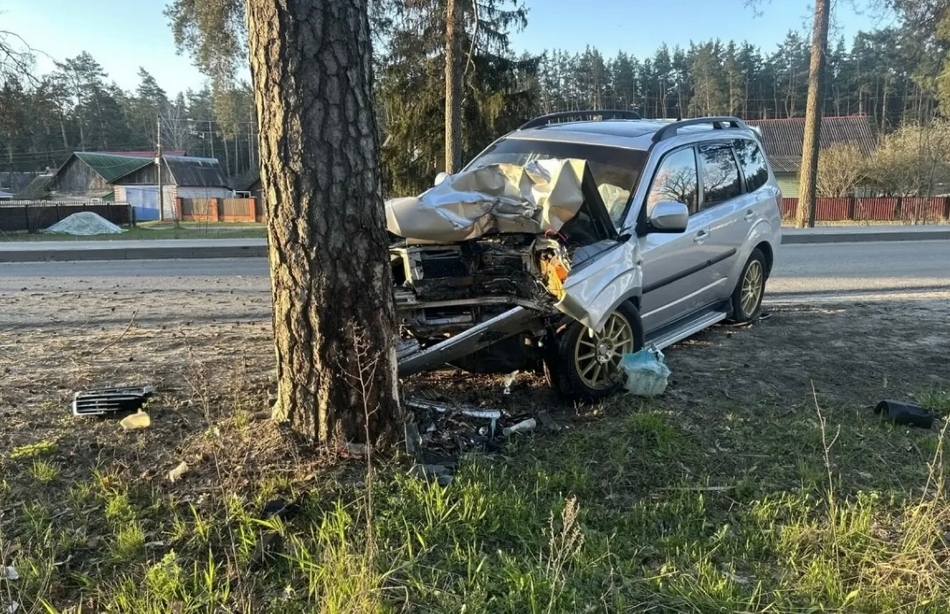 Водитель легковушки протаранил дерево в Жуковке