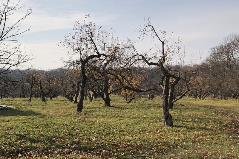 У жительницы Супонева отобрали неухоженные земельные участки