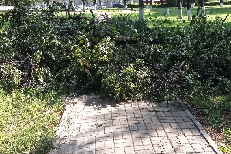 Губернатор предупредил брянцев о разгуле стихии 6 апреля