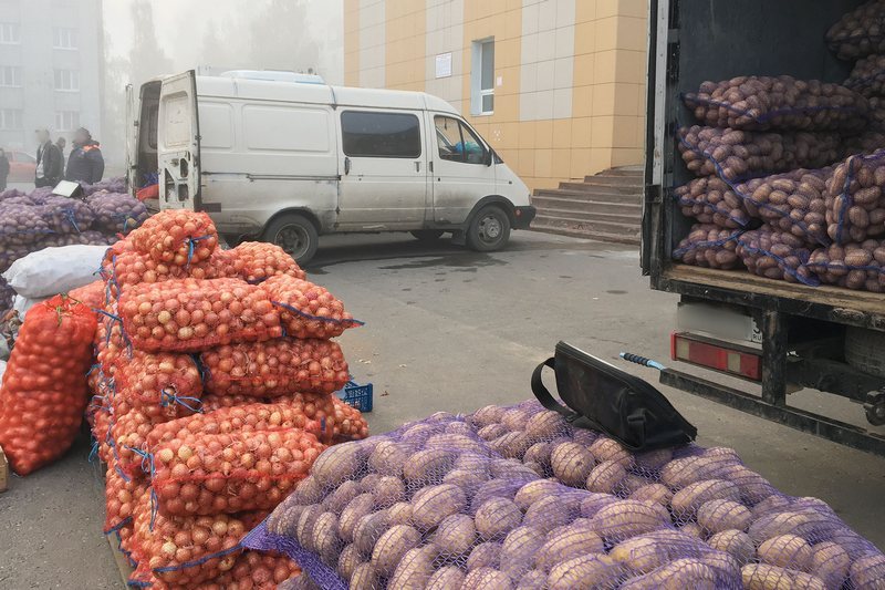 В Брянске начинают работу ярмарки выходного дня и овощные базары