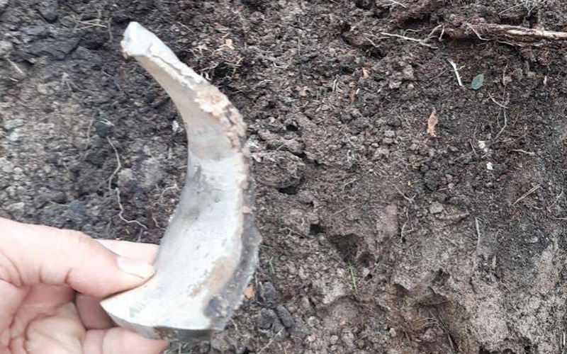 БПЛА ВСУ атаковали два села Стародубского района. Ранены мирные жители