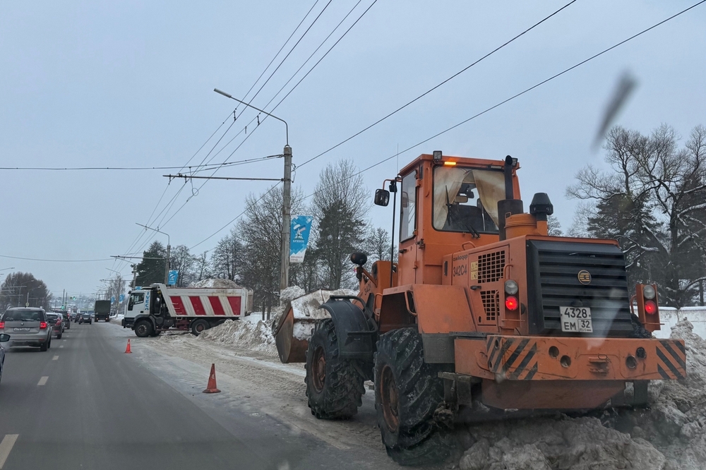 За ночь Брянскую область замело снегом