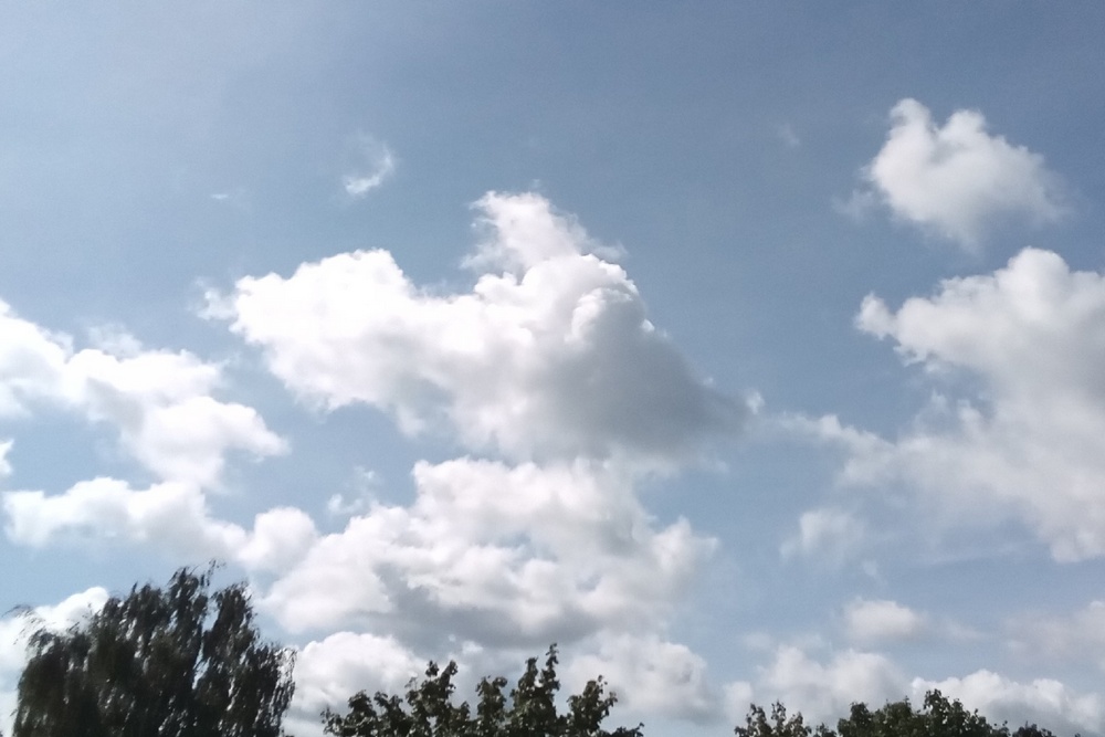 Беспилотная опасность. В небе над Брянской областью снова неспокойно