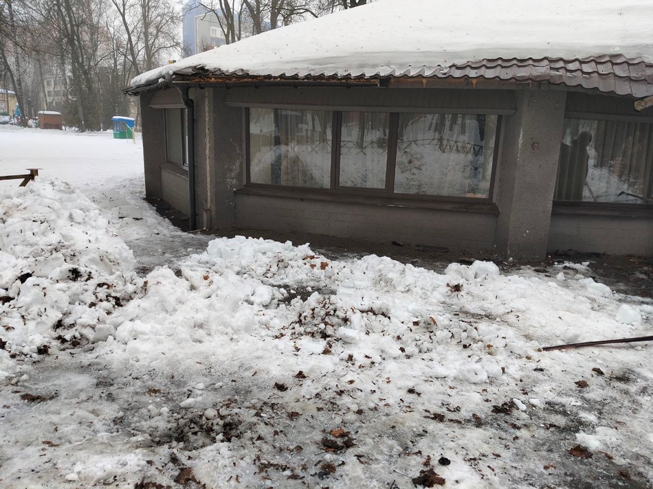 Владелец расположенного в брянском парке Толстого кафе демонтировал рухнувшую кровлю